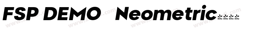 FSP DEMO   Neometric字体转换